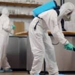 Pest Control in London – Fast, Safe & Guaranteed Services | Modern Environmental Services London