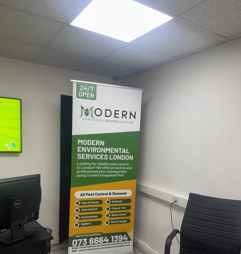 Pest Control in Ilford