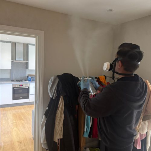 pest control in london