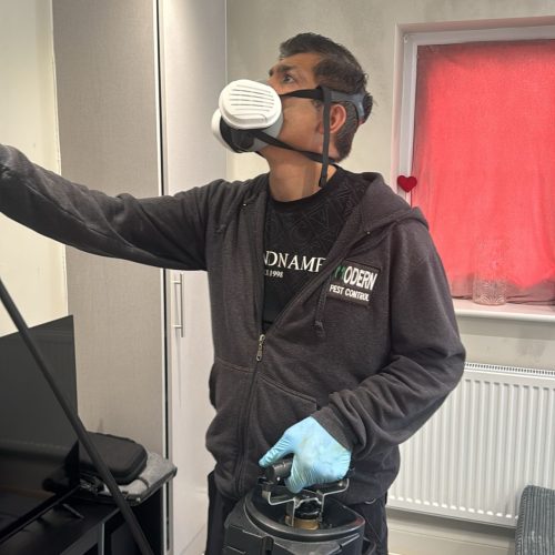 pest control in London